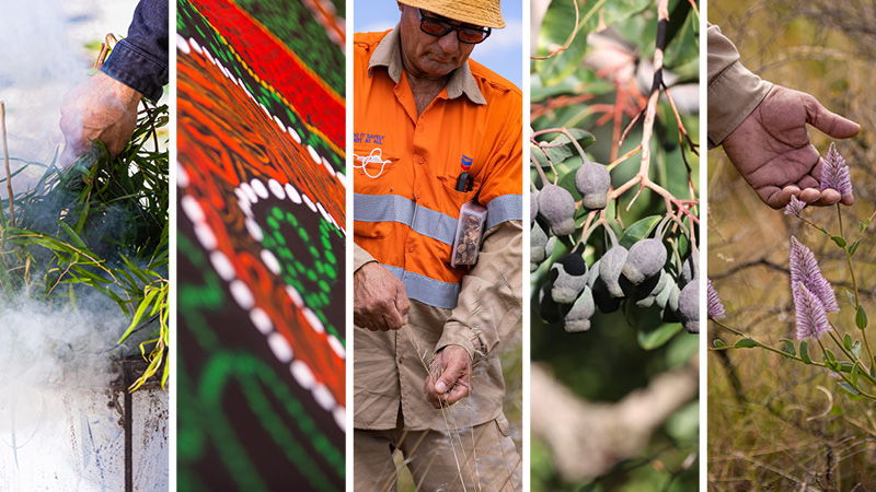 Proudly Celebrating NAIDOC Week 2023 — Australia.chevron.com