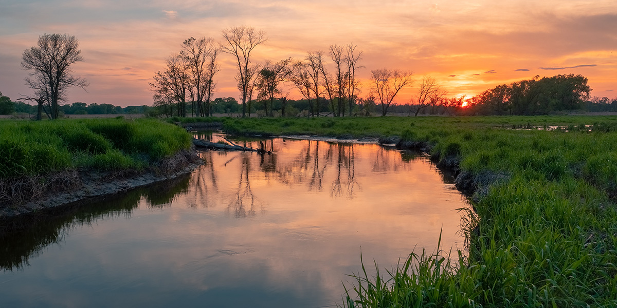 Wetlands at sunset