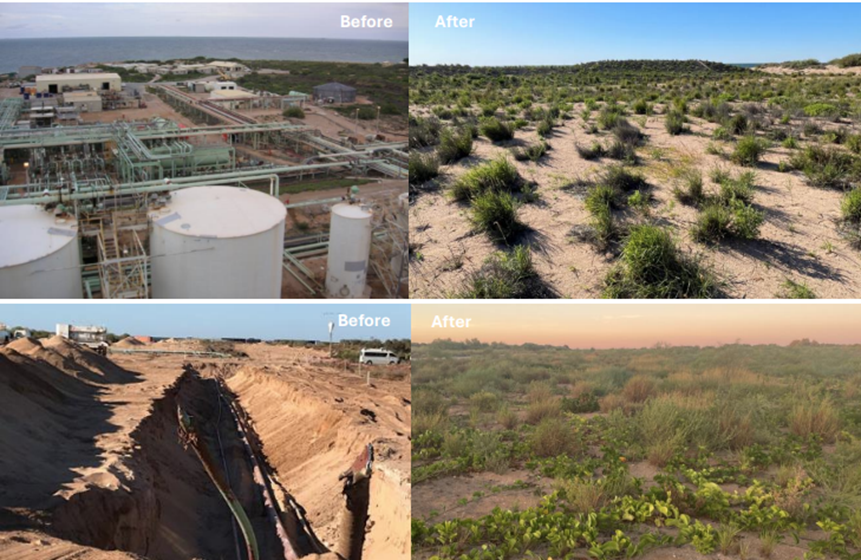 Decommissioning at Thevenard Island