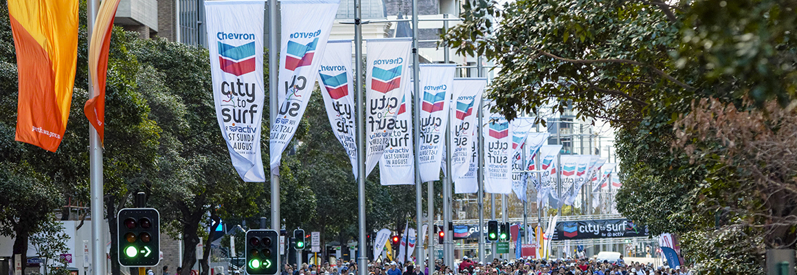 Chevron City to Surf