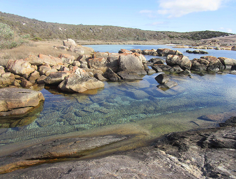 Rocky home: The rock pool at Two People's Bay makes a safe home for crabs and sea creatures to live and hide.