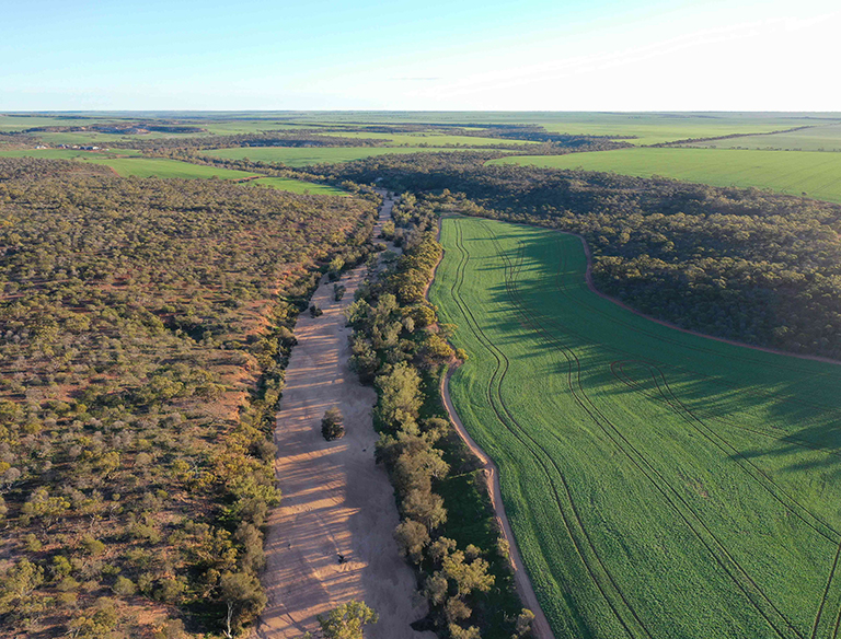 Coming Together: Three different ecosystems on a farm coming together; the bushland, farming land and the Greenough River.