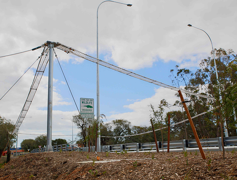 Possum Over Pass: This Possum Over Pass was built so that the possums can safely pass over the road.