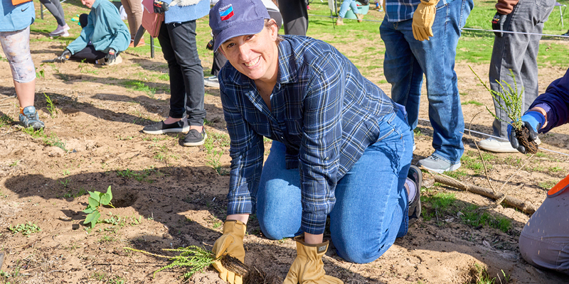 michelle lapoint planting a seedling