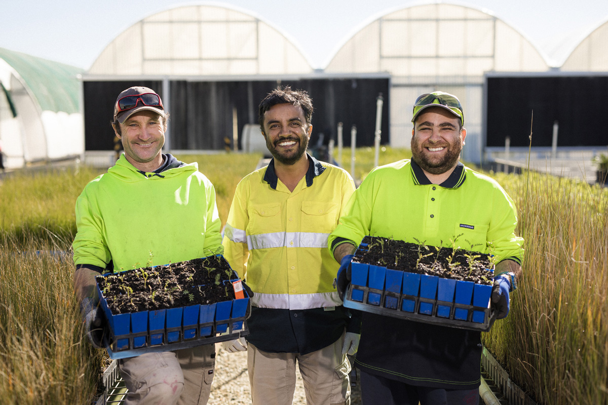 Workpower Nursery Hand Mark Williams, Production Coordinator Upul Ranjith and Nursery Hand Mark Chatzidakis with Acacia coriacea and Acacia sclerosperma seedlings, to be grown for rehabilitation activities on Thevenard Island. Credit: Workpower.