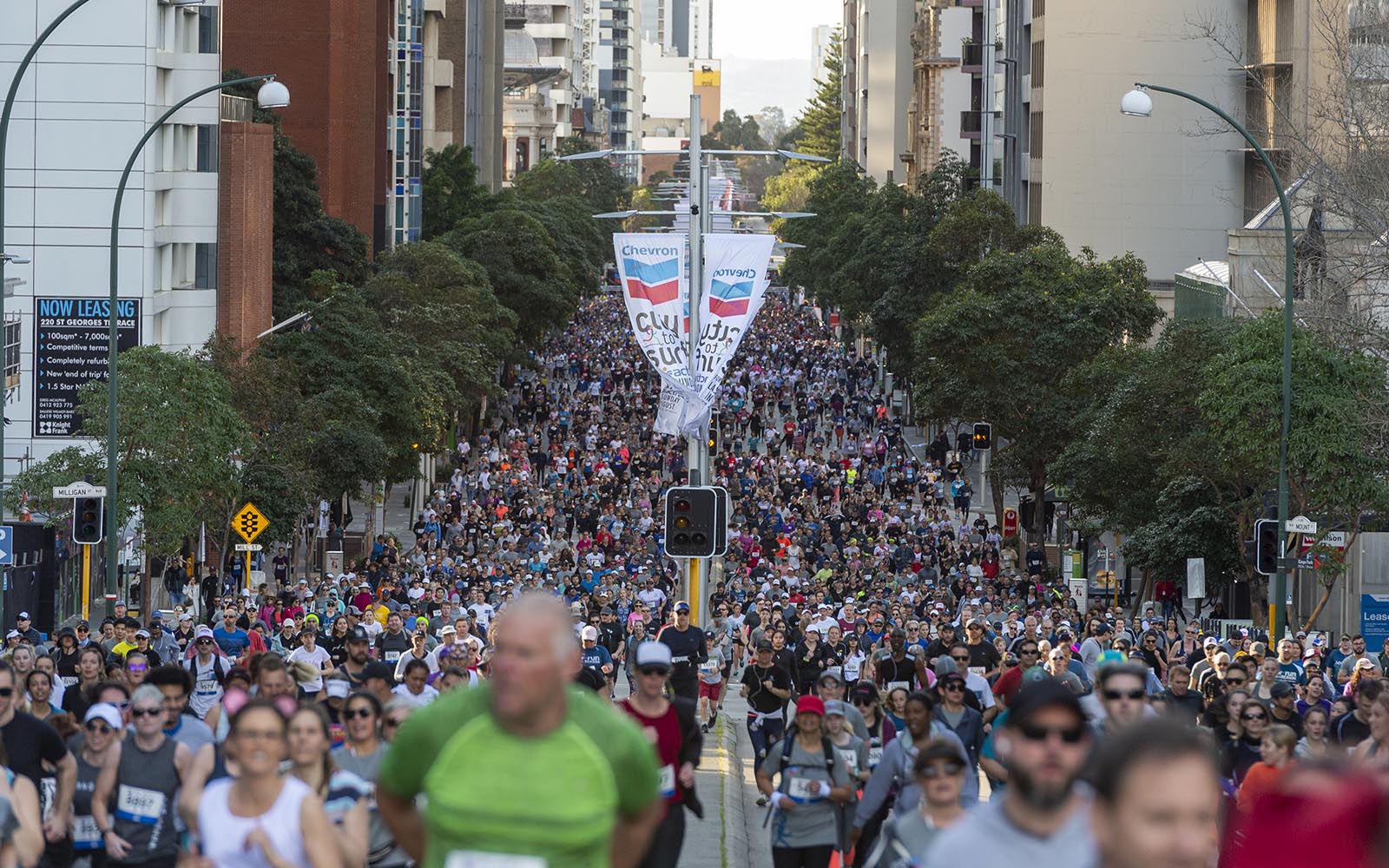 Chevron City to Surf Activ