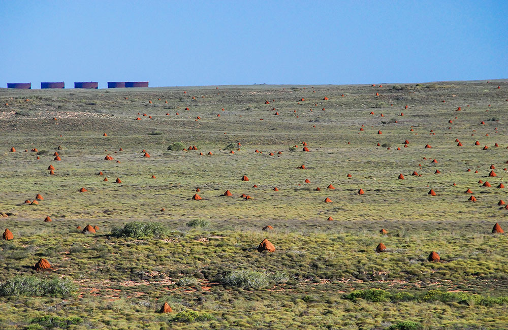 A photo of the Barrow Island landscape