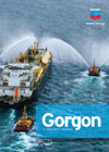 Gorgon - A Project Update