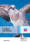 A Guide to the Birds of Barrow Island