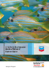 A Guide to Common Marine Fishes of Barrow Island