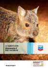 A Guide to the Mammals of Barrow Island