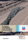 A Guide to the Reptiles and Amphibians of Barrow Island